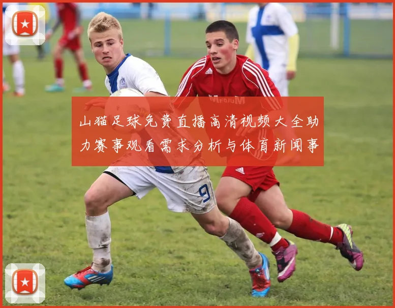 山猫足球免费直播高清视频大全助力赛事观看需求分析与体育新闻事件解读